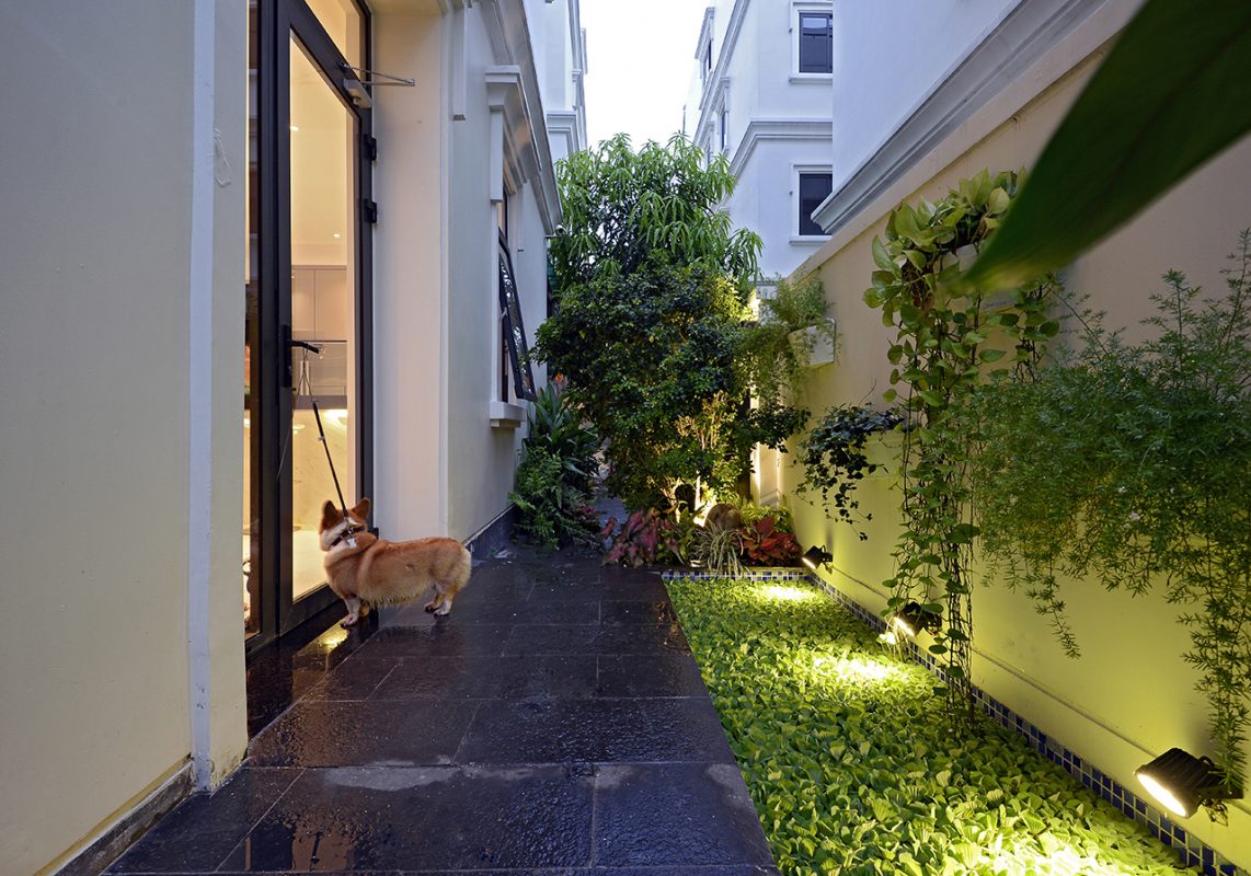 Thiết kế thi công xây dựng nhà biệt thự